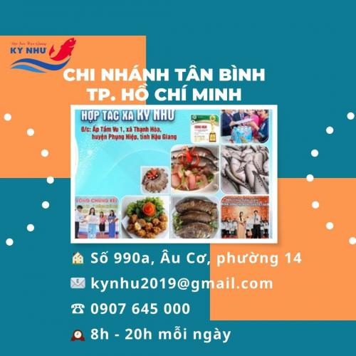 Chi Nhánh Hợp Tác Xã Kỳ Như Tại Tân Bình, Tp. Hồ Chí Minh